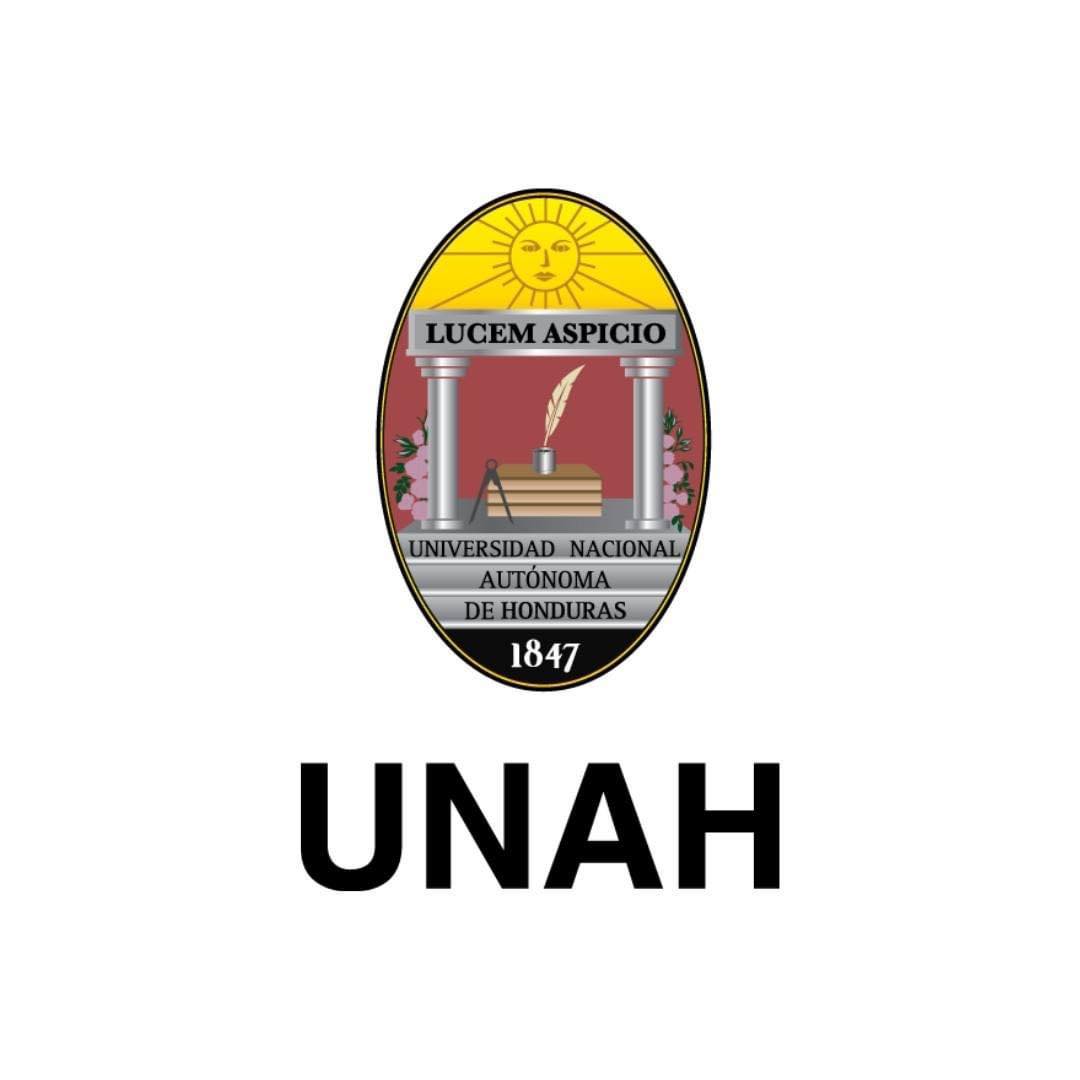 Organizacion de estudio